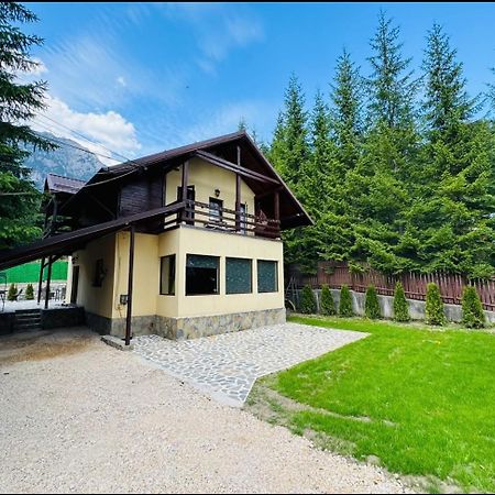 Ollie'S Mountain Chalet 부스테니 외부 사진
