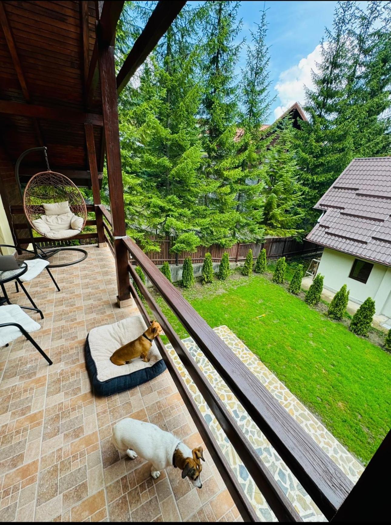 Ollie'S Mountain Chalet 부스테니 외부 사진